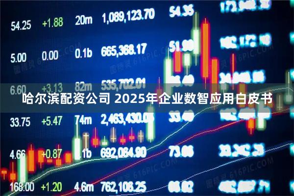 哈尔滨配资公司 2025年企业数智应用白皮书